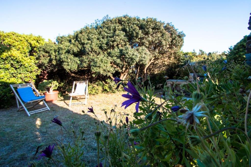 Ferienwohnung L' Elicriso, A Pochi Passi Dal Mare Con Giardino Privato - The Elicriso, A Few Meters From The Sea, With Private Garden Stintino Exterior foto